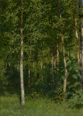 Кугач Юрий Петрович. Березовая роща 